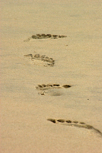 footprints.jpg